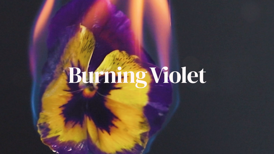 Burning Violet